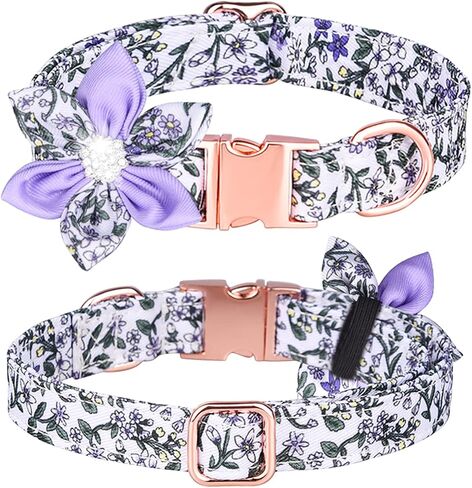 Serijoars Cute Girl Dog Collars for Small Medium Large Dogs, Floral Patterns Female Dog Collar with Detachable Rhinestone Flower for Female Dogs (M, Purple) in Saudi Arabia