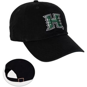 Desert Cactus unisex-adult Baseball