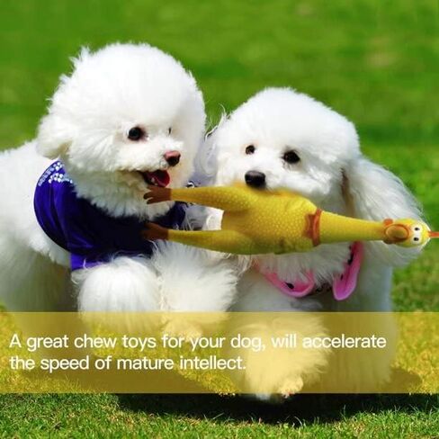 Squeeze Rubber Chicken14.5 inch /37cm Funny Style - Screaming Chicken Toy for Dogs, Party Favors, Easter Eggs, Pinata, Prank, Christmas, Rewards, Carnival, Interactive, Untistress Toy. (3 Chikens) in Saudi Arabia