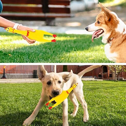 Squeeze Rubber Chicken14.5 inch /37cm Funny Style - Screaming Chicken Toy for Dogs, Party Favors, Easter Eggs, Pinata, Prank, Christmas, Rewards, Carnival, Interactive, Untistress Toy. (3 Chikens) in Saudi Arabia