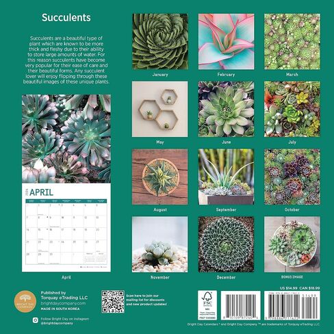 2024 Succulents Monthly Wall Calendar by Bright Day, 12 x 12 Inch Cactus Aloe Vera Desert plants in Saudi Arabia