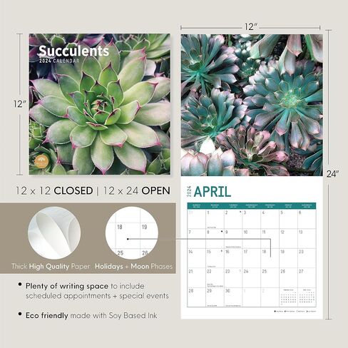 2024 Succulents Monthly Wall Calendar by Bright Day, 12 x 12 Inch Cactus Aloe Vera Desert plants in Saudi Arabia