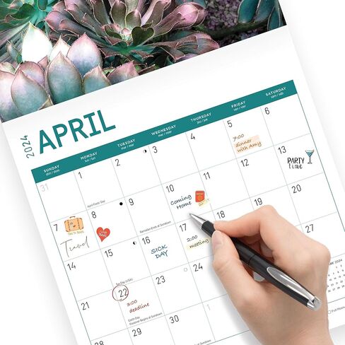 2024 Succulents Monthly Wall Calendar by Bright Day, 12 x 12 Inch Cactus Aloe Vera Desert plants in Saudi Arabia