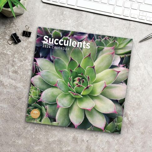 2024 Succulents Monthly Wall Calendar by Bright Day, 12 x 12 Inch Cactus Aloe Vera Desert plants in Saudi Arabia