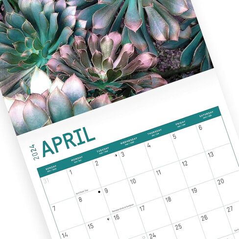 2024 Succulents Monthly Wall Calendar by Bright Day, 12 x 12 Inch Cactus Aloe Vera Desert plants in Saudi Arabia