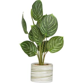 Deco 79 The Novogratz Faux Foliage Calathea Artificial Plant with Realistic Leaves and Patterned Porcelain Pot, 11" x 10" x 16", Green