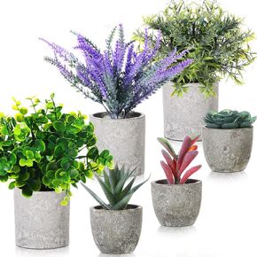 6 Pack Small Fake Plants Eucalyptus Potted Artificial for Shelf Lavender Succulents Boxwood in Pots Faux Potted Herbs Faux Plants Indoor for Home Office Tabletop Bathroom Living Room Decoration