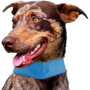 Pet Life ® Summer-Cooling' Insert Able and Adjustable Cooling Ice Pack Dog Neck Wrap