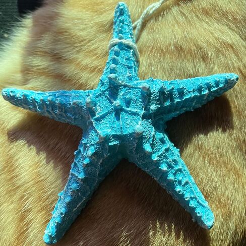 YOKIOU 1 PCS Artificial Resin Starfish Large Light Blue 4.9in Hanging Star Fish DIY Craft Beach Lake House Home Wedding Decor (1*Light Blue) in Saudi Arabia