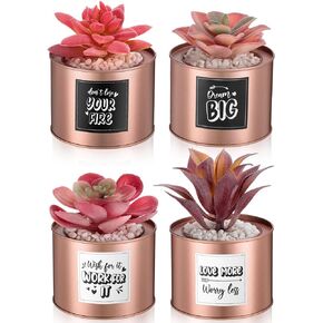 MTLEE 4 Pieces Rose Gold Succulent Plants Pink Succulent Plants Office Decor for Women Desk Succulent Plants Artificial Cactus Succulent Plants in Pots for Bedroom Bookshelf Office Home Decor