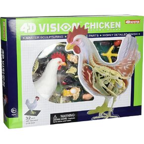 نموذج تشريح الدجاج من تيدكو 4D Vision in Kuwait