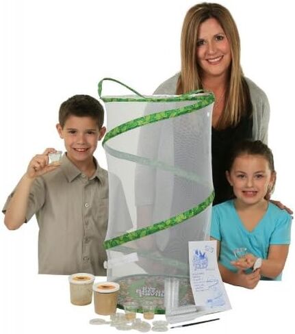 يمكن إعادة تعبئة مجموعة أدوات الحشرات المدرسية بـ 33 يرقة حية in Kuwait