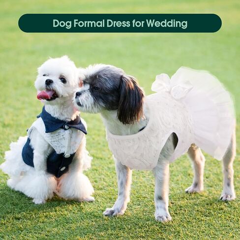 Kuoser Dog Dress Pet Wedding Dresses, Adorable Tutu Shirts for Small Medium Girl Dogs, Puppy White Princess Outfits with Luxury Lace Pearl Bow, Retro Pet Costumes for Birthday, Party, Wedding in Saudi Arabia