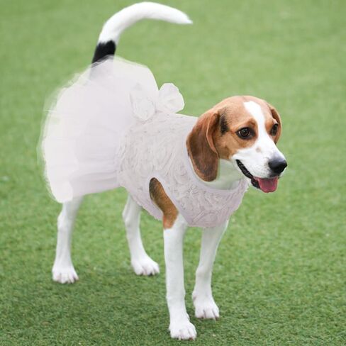 Kuoser Dog Dress Pet Wedding Dresses, Adorable Tutu Shirts for Small Medium Girl Dogs, Puppy White Princess Outfits with Luxury Lace Pearl Bow, Retro Pet Costumes for Birthday, Party, Wedding in Saudi Arabia