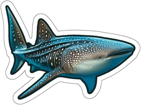Whale Shark Sticker | Vinyl Stickers & Waterproof Decals | Assorted Aesthetic Stickers for Laptops, Water Bottles, Phones & More | Cool Stickers for Adults, Teens | 1 Pack (4 x4x0.1") in Saudi Arabia