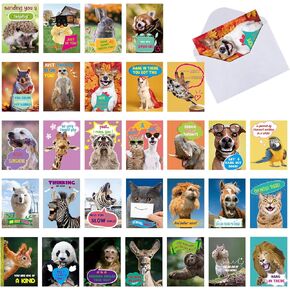 Panelee 60 Set Funny Greeting Cards Set with Envelopes Gratitude Blank Animal Note Thinking of You Cards Appreciation Thank You Postcards for Kids Employee Friends Coworker Students Teacher
