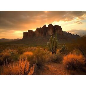 IPISSOI DIY 5D Diamond Art Kits Painting for Adults Superstition Mountains Sunset Arizona Western Desert Cactus Landscape Nature 12x16inch
