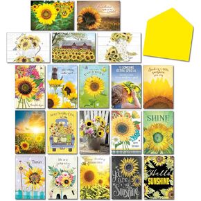 Leanin' Tree, Hello Sunshine, Box of Cards for All Occasions, Assorted Cards with Envelopes All Occasion, (20 Greeting Cards, 22 Colorful Envelopes)