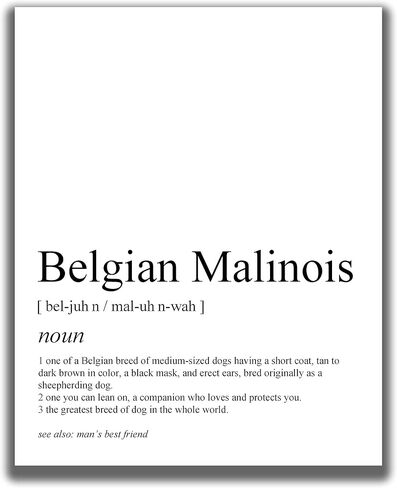هدايا Malinois البلجيكية - طباعة فنية لجدار الكلب غير المؤطرة مقاس 8 × 10 بوصة - هدايا للأم والأب للكلب، هدايا لمحبي الكلاب للرجال والنساء - ديكور حائط بطباعة بسيطة باللونين الأبيض والأسود in Kuwait
