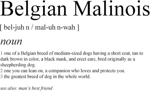 هدايا Malinois البلجيكية - طباعة فنية لجدار الكلب غير المؤطرة مقاس 8 × 10 بوصة - هدايا للأم والأب للكلب، هدايا لمحبي الكلاب للرجال والنساء - ديكور حائط بطباعة بسيطة باللونين الأبيض والأسود in Kuwait