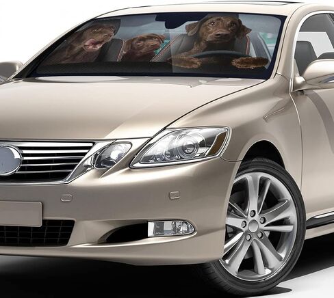 Labrador Retriever Car Windshield Sunshade, Automotive Interior Protection Sun Visor, Sun Heat Glare Rays Reflective Blocker, Vehicle Front Window Sunshade, Universal in Saudi Arabia