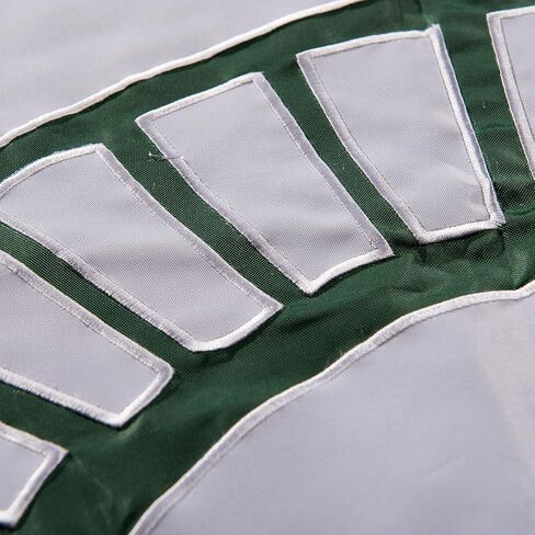 College Flags & Banners Co. Michigan State Spartans Embroidered and Stitched Nylon Flag in Saudi Arabia