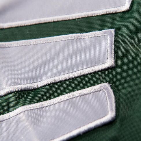 College Flags & Banners Co. Michigan State Spartans Embroidered and Stitched Nylon Flag in Saudi Arabia