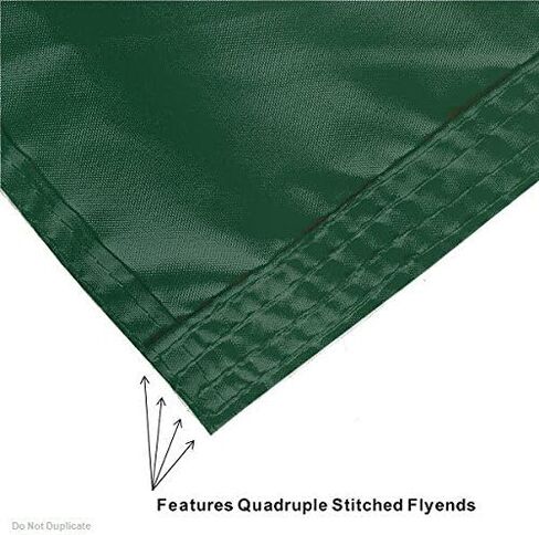 College Flags & Banners Co. Michigan State Spartans Embroidered and Stitched Nylon Flag in Saudi Arabia