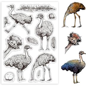 GLOBLELAND Ostrich Animal Clear Stamps for Cards Making Clear Stamp Seals Transparent Stamps for DIY Scrapbooking Photo Album Journal Home Decoration