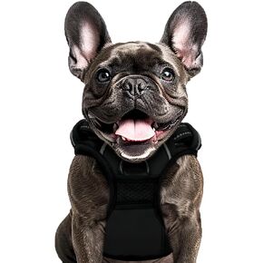 Buddy's Best Dog Harness, No-Pull Pet Harness with 2 Leash Clips, Adjustable Soft Padded Reflective Safety Pet Harness for No-Choke Pet Training (Black, Small)