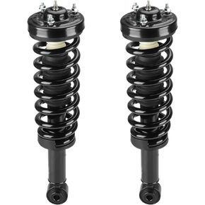 Front Strut Shock Assembly w/Coil Spring Compatible with Ford F-150 2009-2013, Replace 171141, 2PCS