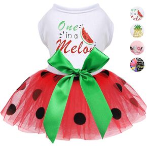 Dog Clothes for Small Dogs Girl, Spring Pet Dress Puppy Princess Tutu Cute Puppy Tulle Dresses Pet Clothes Cat Apparel Chihuahua Yorkshire Outfits (Daisy, L)