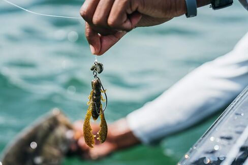 Berkley unisex-adult PowerBait Chigger Craw Watermelon ,4" (9 Count) in Saudi Arabia