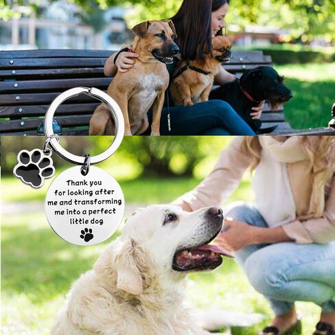 Dog Trainer Dog Sitter Dog Walker Appreciation Gift Thank You For Looking After Me Dog Lover Keychain in Saudi Arabia
