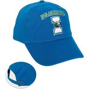 Desert Cactus Texas A&M University Corpus Christi Baseball Hat TAMUCC Islanders Embroirderd Hats Cap Adjustable Cloth Strap Adult (Style A) Blue
