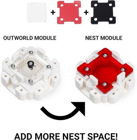 Ant Colony Starter Kit - Professional Formicarium for Queens and Small Ant Colonies - Modular Ant Farm Nest (Gray - Small Species) in Saudi Arabia