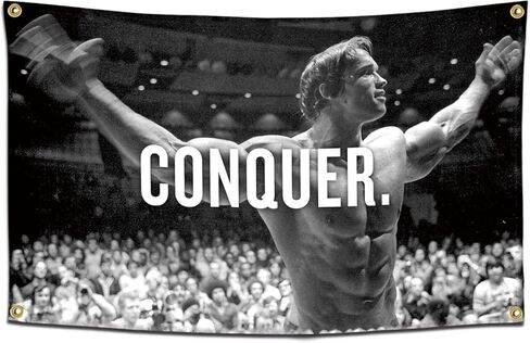 قهر العلم لأرنولد شوارزنيجر 3x5 أقدام راية أعلام مضحكة للغرفة بارد نسيج رجل كهف جدار ديكور مع الحلقات النحاسية لغرفة النوم الكلية in Kuwait