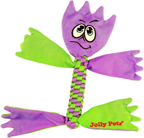 Jolly Pets Flathead Tug Toy for Medium Dogs in Saudi Arabia