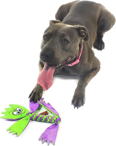 Jolly Pets Flathead Tug Toy for Medium Dogs in Saudi Arabia