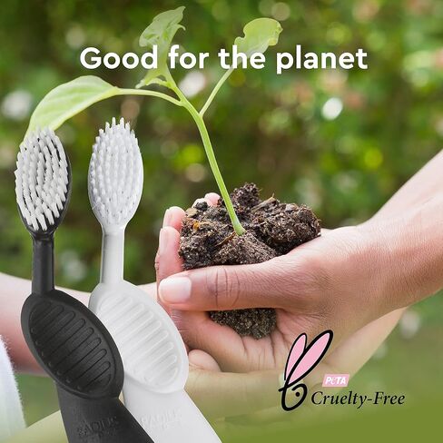 RADIUS Flex Brush with Soft Bristles Toothbrush BPA Free & ADA Accepted Designed to Improve Gum Health & Reduce Issues - Left Hand - Purple/Watermelon/White - Pack of 3 in Saudi Arabia