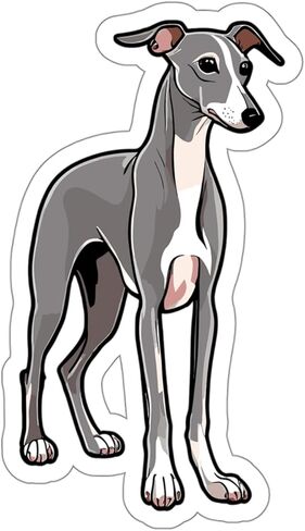 Italian Greyhound Sticker Weatherproof Souvenir Decal Vinyl Small Waterproof Bottle Mug Passport Book Scrapbook Notebook Laptop Tumbler Skateboard Computer Phone Size 4" Gift in Saudi Arabia