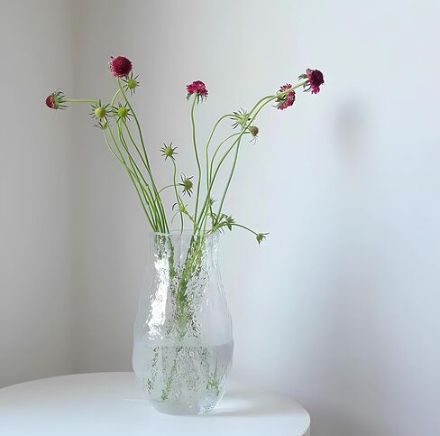 Irregular Shaped Flower Vase 8 inch Thickened Glass Vase for Centerpiece,Dinner Table,Office Desktop,Bathroom,Countertop,Home Christmas Day Decoration,Clear in Saudi Arabia