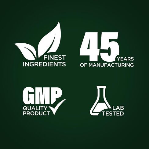 Piping Rock Moringa Oleifera Capsules 6000mg | 240 Count | Leaf Concentrated Extract | Herbal Supplement | Non-GMO, Gluten Free in Saudi Arabia