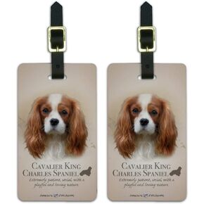 Cavalier King Charles Spaniel Dog Breed Luggage ID Tags Cards Set of 2