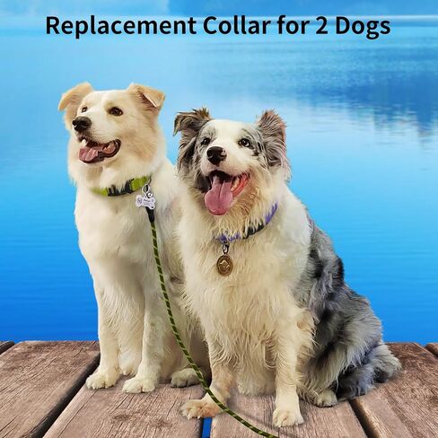 Replacement Collar Strap,E Collar Replacement Strap, 3/4 Inch Replacement Collar for All Vibrating and Anti Bark Training Shock Collars - Durable & Adjustable - Green & Purple in Saudi Arabia