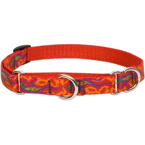 LupinePet Originals 3/4" Go Go Gecko 10-14" Martingale Collar for Small Dogs