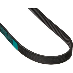 Motorcraft Drive Belt