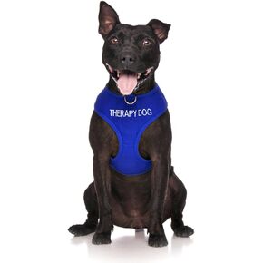 Limited Therapy Dog Blue Color Coded Non-Pull Front and Back D Ring Padded and Waterproof Vest Dog Harness Prevents Accidents by Warning Others of Your Dog in Advance (L)