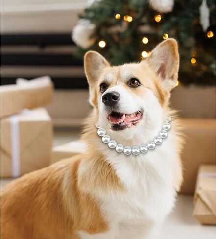 قلادة الكلب من اللؤلؤ المكتنز من KUDES (خرز 20 مم)، حبل سلكي قوي من الفولاذ المقاوم للصدأ، إكسسوارات مجوهرات كلاسيكية أنيقة ذات ياقة لؤلؤ كبيرة جدًا للكلاب المتوسطة والكبيرة في المناسبات والتجمعات in Kuwait