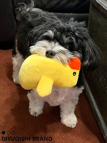 Puppy Toys Squeaky Goat Plush Toy Perfect for Small Dogs Teething Toys Not Suitable for Aggressive Chewers, a Variety of Dog Toy Sets in Saudi Arabia